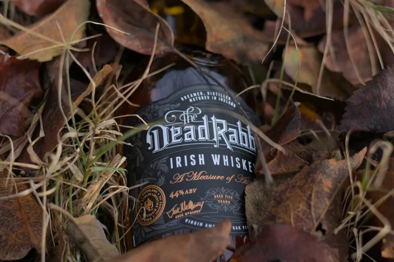 Chai whiskey Ireland The Dead Rabbit nằm giữa lá khô mùa thu